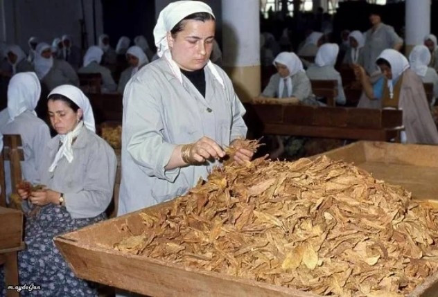 Bir Zamanlar Samsun: Fotoğraflarla Tarihe Yolculuk 